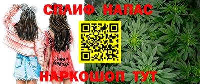 ГАЛЛЮЦИНОГЕННЫЕ ГРИБЫ Донской