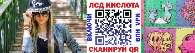 Марки NBOMe 1,8мг  KRAKEN зеркало  Новороссийск  наркошоп 