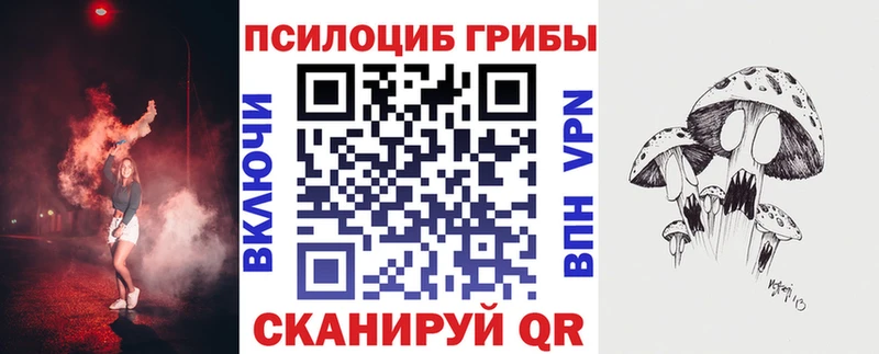 дарнет шоп Новороссийск Псилоцибиновые грибы Psilocybine cubensis