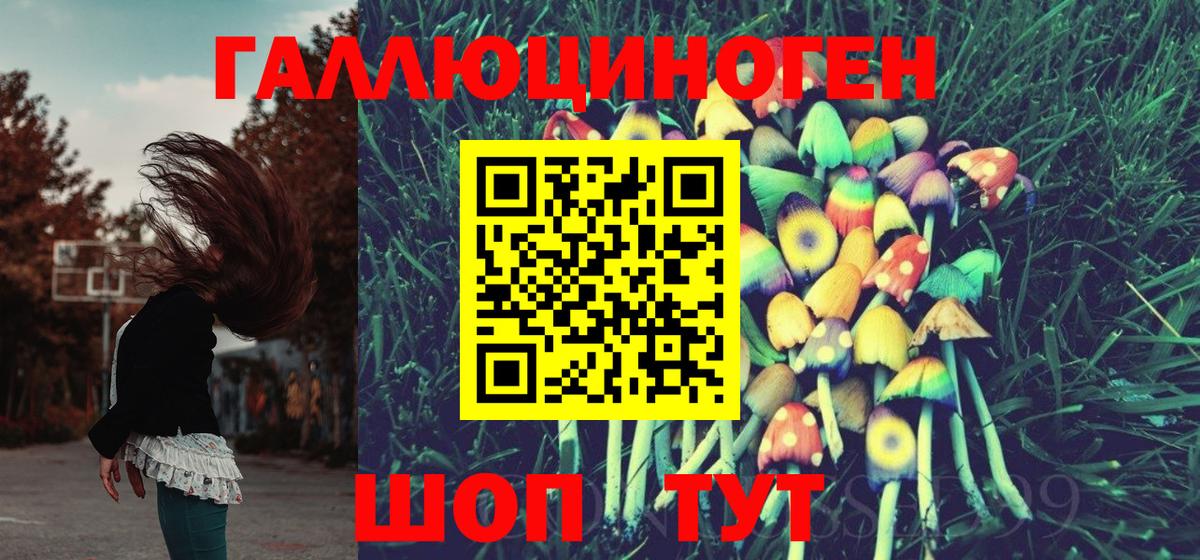 Галлюциногенные грибы мицелий  Вход с VPN  Псилоцибиновые грибы ЛСД  Новороссийск 